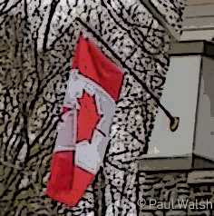 Canadian Flag Art
