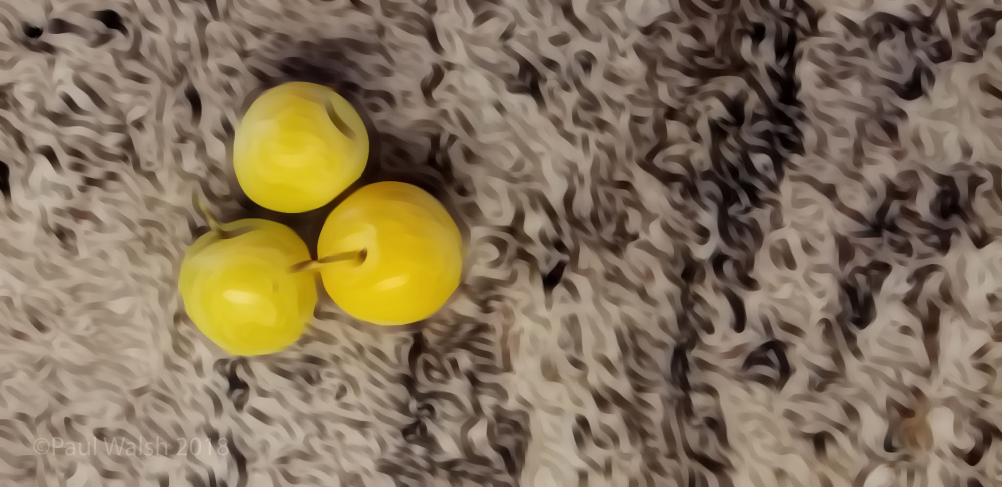 Yellow Ontario Plums