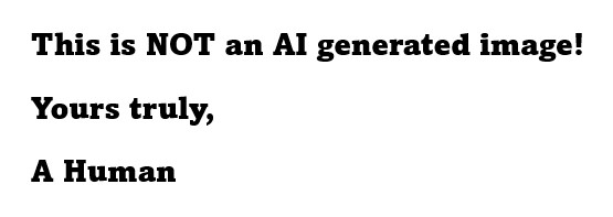 Not an AI Image